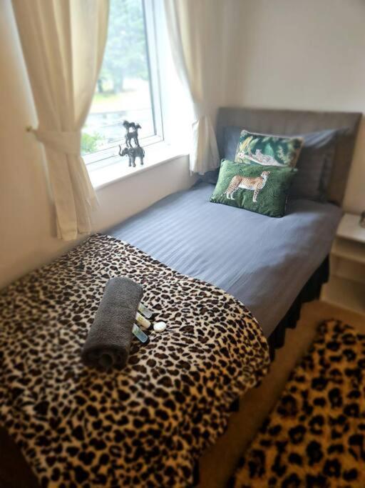 Leopard In Dutton Apartment Warrington (Cheshire)